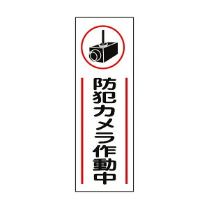 ���{�Ώ\���� �Z���^���S�W�� �h�ƃJ�����쓮�� GR265 �c�^ 360×120mm 093265 1