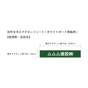AC}[N ʍ앶}OlbgV[g(zCg{[hp) AMWBKMS1 1_