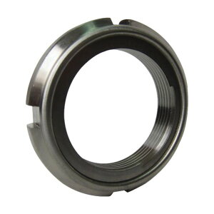 GoI s^ibgSUSM100×2 PNSUS20 1