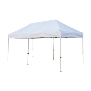 @lpiR[|[V 񂽂Ă 2.4m×4.8mX`[&A~t[  KA/5W-W 1_