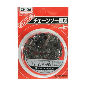 BIGMAN `F[\[֐n 25AP60E CH-26 1