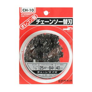 BIGMAN `F[\[֐n 25AP84E CH-10 1