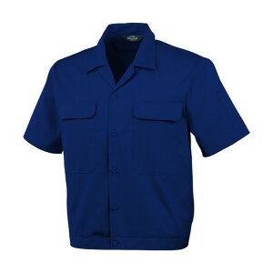 R[RXM Jݔu]A-6650 1 lCr[ L A-6650-1-L 1_