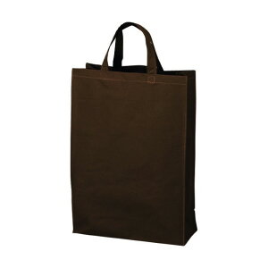 G[ x[VbNg[g100 c _[NuE LC0551AG10 1_