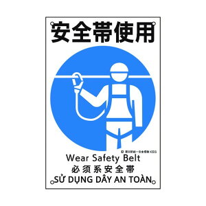 {Ώ\ ЖhSW Sюgp KS5 450×300mm 081005 1