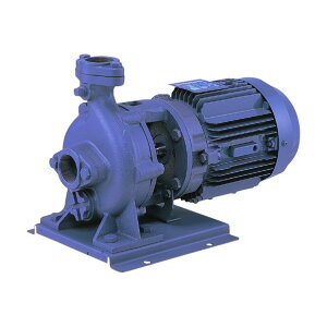 Go(`쏊) FVD^uebNX|v 50Hz a65mm o2.2kW 65FVD52.2B 1_