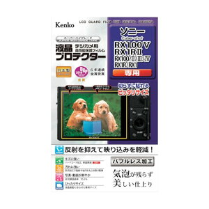 �P���R�[�E�g�L�i�[ �t���ی�t�B���� �\�j�[ CS RX100V/100IV/RX1R2�p KLP-SCSRX100M5 1�_