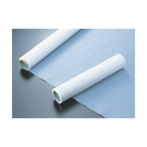 ���������H�� �t�b�f����(PTFE)�t�B���� MSF-100 0.05tX500wX10M MSF100-0.05X500 1�_