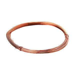 �g���X�R �G�i������ ���a0�D35mmx��10m EW-28 1��