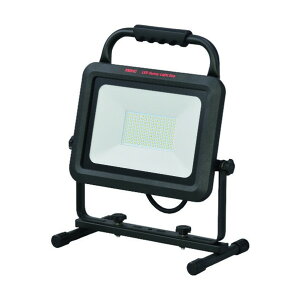L^ LEDTj[CgGR LED100WZ 1_