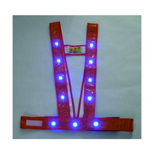 ~YPC ~YPC@LED^XL^SxXgułvIW/LED 35 x 27 x 5 cm 3020014