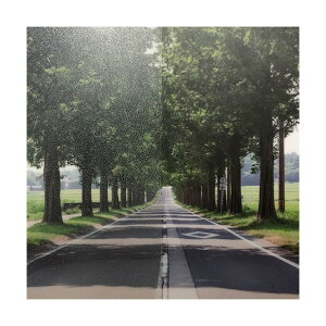 �O���[���N���X �t�@�T�� �t���X�g/�}�b�g SH2EMLA ���[�U���k 1016mmX30m 6300034316 1�{