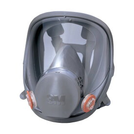 3M(スリーエム) 防毒マスク全面形面体 ラージサイズ 6000FL 1個