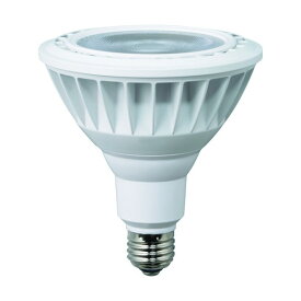 ハタヤ(HATAYA) LED作業灯 20W交換球電球色ビームタイプ LDR20L-W60 1点