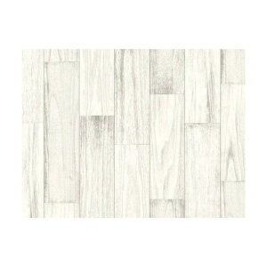 aOrA a@\Ă͂鉖rV[g@mxV[g@90cm×180cm 950 x 60 x 55 mm REN-02 1_