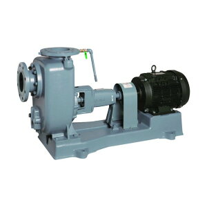 エバラ(荏原製作所) SQ型自吸ポンプ 60Hz 口径100mm 100SQF65.5B 1点