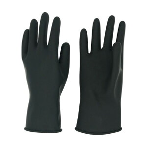 OwH ݂̂܃X^_[h 204120 1_