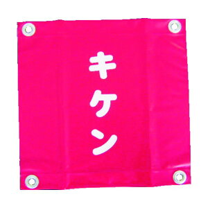 ���^�J���C�N ���^�J���S�\�����i�n�g�ځE�L�P���j AF2225 3��