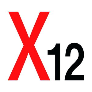 ���@�l��p�i���O���[���N���X �ʂ�c�W��450�p X12 6300000240 1�_