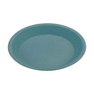  Queen ROSE gbsOIW pCM B-117  WPI15117 1