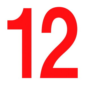 ���@�l��p�i���O���[���N���X �ʂ�c�W��300�p �}�O�l�b�g 12 6300003220 1�_