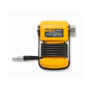 Fluke�i�t���[�N�j �O�t�����̓��W���[��750P31 750P31 1��