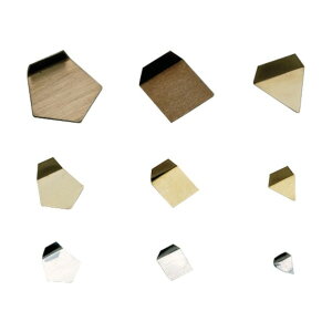 Vdq 󕪓 OIML^(񎥐XeX) 100MG M1 M1PSO-100M 1_