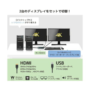 ラトックシステム デュアルディスプレイ対応 HDMIパソコン切替器 RS-250UH2 1点