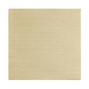  J[̑Iׂyʒu  82×82×2.5 i` 159050205 1_