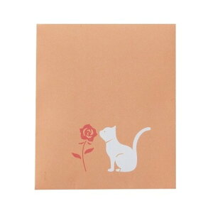 O[NX zincense [Y̍ 6300036009 1