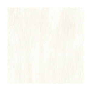 O[NX _CmbN C_XgAeNX`A AE-1953 1220mmx50m 6300040913 1{