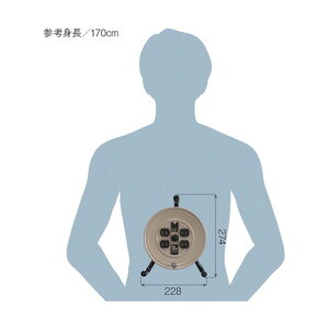 n^ n^xZT[tR[h[P100V10MA[Xt JS-101KS 1_y2506DFD_3z