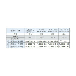 �t�@�C�A�[�����X�H�� �����X�z���_�[ FL-30CS-8-6 FL-30CS-8-6 1�_