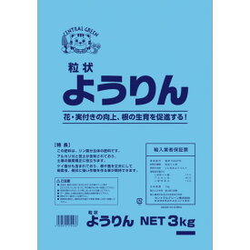 セントラルグリーン ようりん 3kg 1個