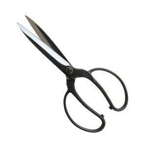 gn쏊 #205 A  lW @  ͂ 150mm 1