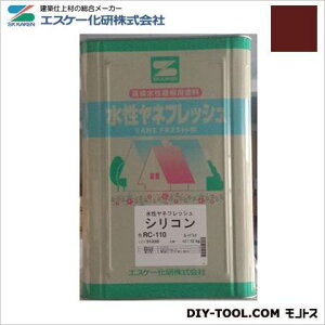GXP[ ltbVVR(L)ϋvph `R[g RC-113 1