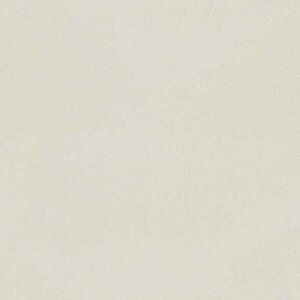 ACJH WpbgAt@ T2010 20kg JP-100T2010 1