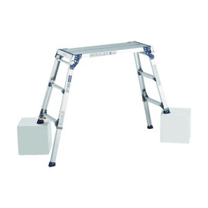 @lpiACR  őgp100kg V:1.01`1.31m PXGE1012FX 1