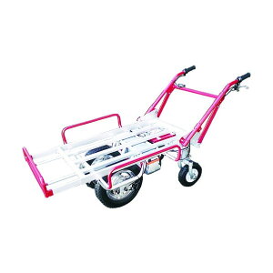 A~X d艟 dLg lփ^Cv DN-4 1_