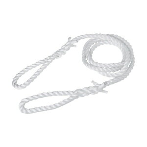 gXR(TRUSCO) PP[vXO 24mmX4m PP-2440 1_