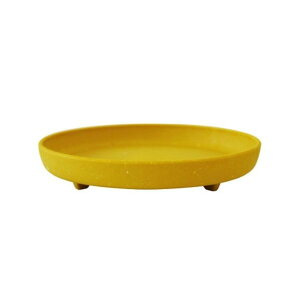  GRv[gی^ 4 }X^[h(MD) 1