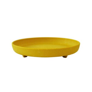  GRv[gی^ 5 }X^[h(MD) 1