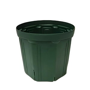 �X���b�g��JAN�t CSM-180 ���X�O���[�� 1��