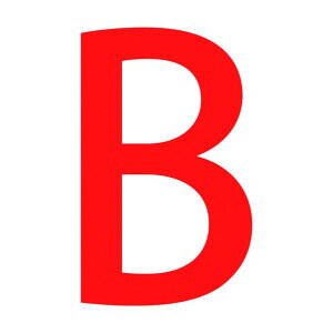 @lpiO[NX ʂcW450p }Olbg B 6300003258 1_