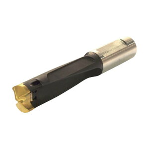 �C�X�J�� X�J���h�����^�z���_ DCM 095-033-10B-3.5D 1