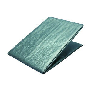 ^JCN Vo[V[g#3000 2.7×5.4m SL#30-08 1_