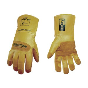 YOUNGSTOWN vFRCO[u AEghC L  12-3495-60-L 1_