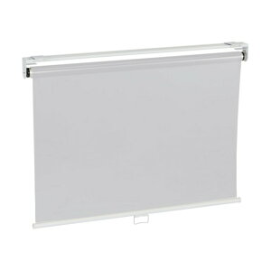 g [XN[ [(hEV䒼t^Cv) 1×2 YS-12RS-BAT-T 1_