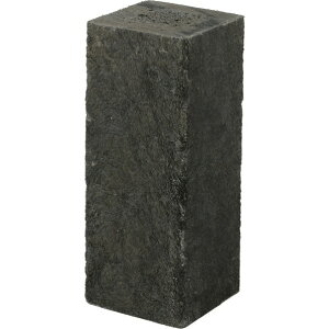 ^JV[ eBXpō_ Vo[in}[g[j WG60SS 1