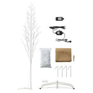 �ʃv���~�A�� TOKKA�c���[ M �z���C�g LGT-T02MCM 1�{